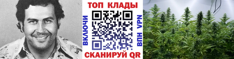 Магазин наркотиков Сосновоборск Марихуана  APVP  Меф  Вейп ТГК  КОКАИН 