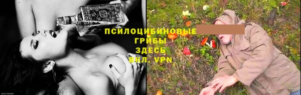 дживик Слюдянка