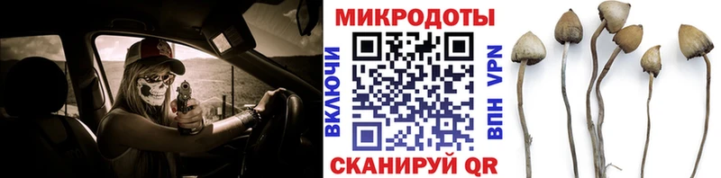 закладка Сосновоборск Псилоцибиновые грибы мицелий