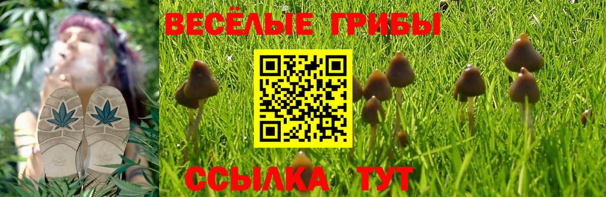 Псилоцибиновые грибы прущие грибы  Сосновоборск  Галлюциногенные грибы Magic Shrooms 