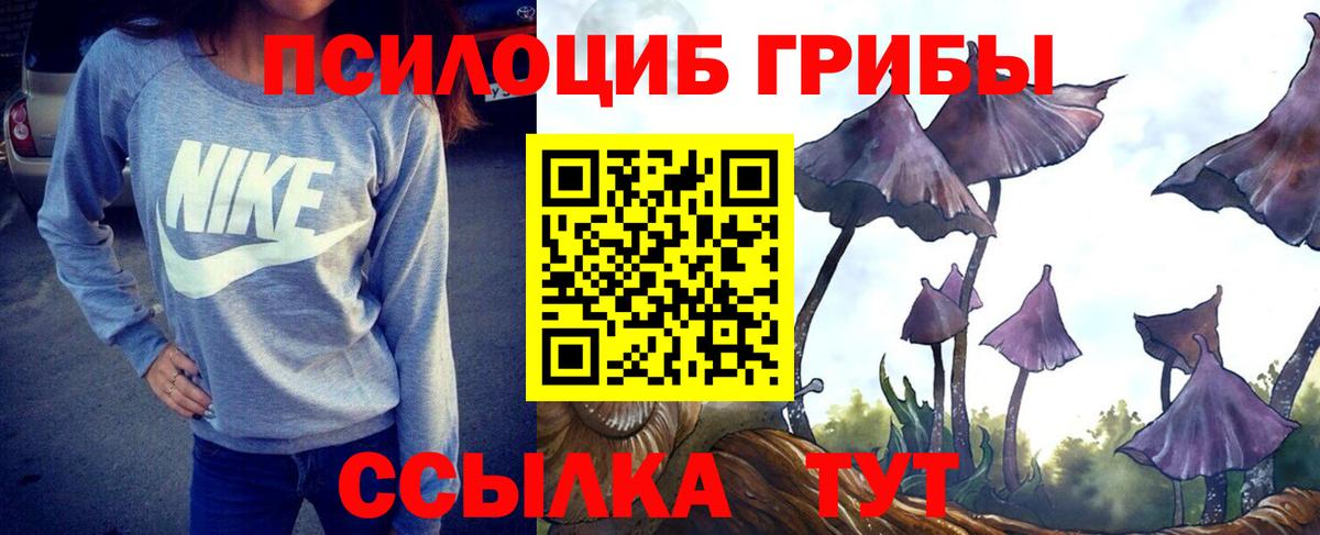 купить  цена  Псилоцибиновые грибы ЛСД  Вход с VPN  Галлюциногенные грибы Magic Shrooms  Сосновоборск 